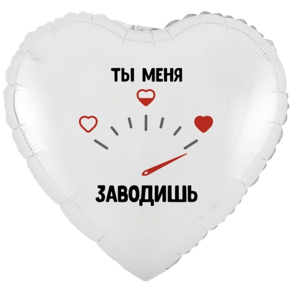  ТЫ МЕНЯ ЗАВОДИШЬ